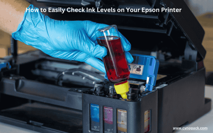 How to Easily Check Ink Levels on Your Epson Printer - Cynopack ...