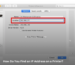 How Do You Find an IP Address on a Printer